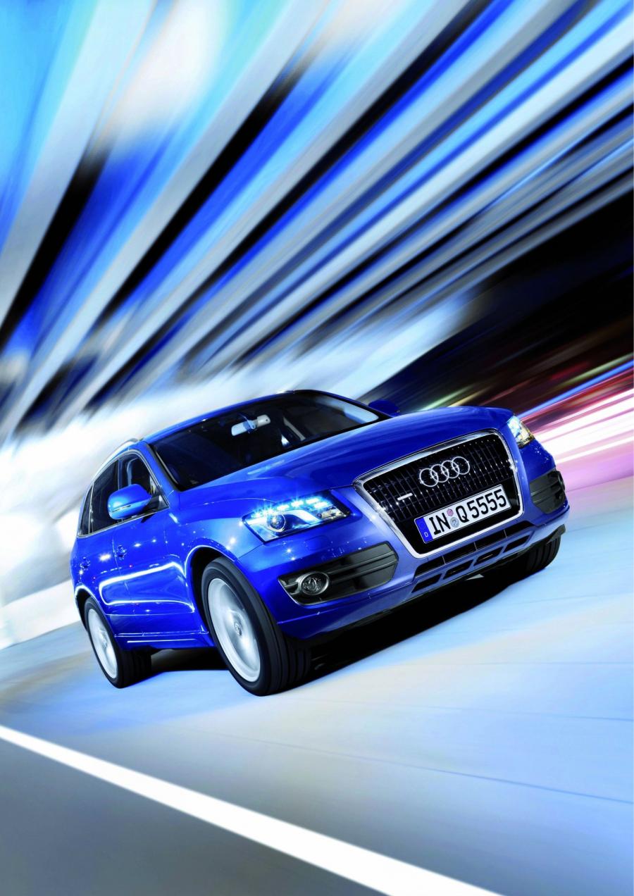  Audi Q5 3.0 TDI Quattro (8R) 2008 года  (фото 10 из 30)